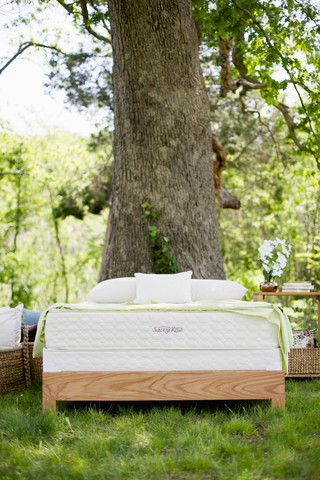 serenity latex mattress savvy rest outdoor vertical c7c02f0d 6341 4815 8665 66622f47d3bc large