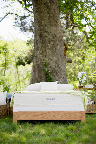 serenity latex mattress savvy rest outdoor vertical c7c02f0d 6341 4815 8665 66622f47d3bc large