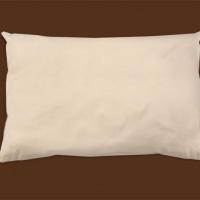 organic cotton pillow naturepedic.jpeg