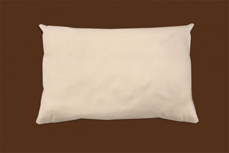 organic cotton pillow naturepedic.jpeg