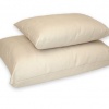 organic cotton pillows naturepedic e0353ef5 779f 49c4 a215 8f4c2e81416c.jpeg