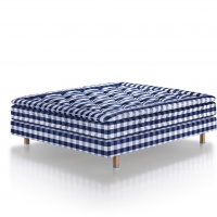 hastens maranga white