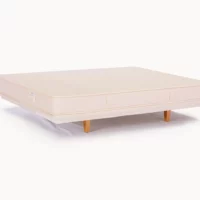 bradstreet (medium latex)