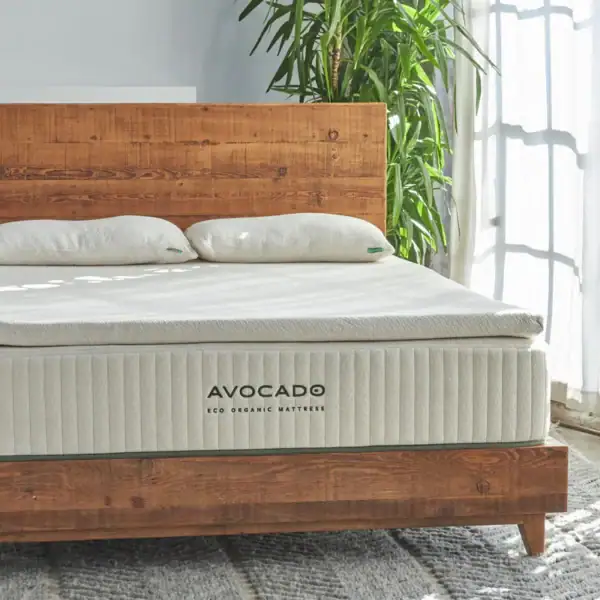 AVOCADO ECO ORGANIC TOPPER 0002 2000w 1 800x AVOCADO ECO ORGANIC TOPPER 0002 2000w 1 800x