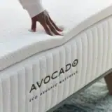 AVO ECO TRUNDLE 00066 2000w f389b35b db76 4df7 a0f1 e9aeffa7af9c 800x AVO ECO TRUNDLE 00066 2000w f389b35b db76 4df7 a0f1 e9aeffa7af9c 800x