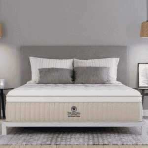 Elyisan Firm NMHELF RoomFront