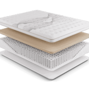 Elysian Firm NMHELF Layer