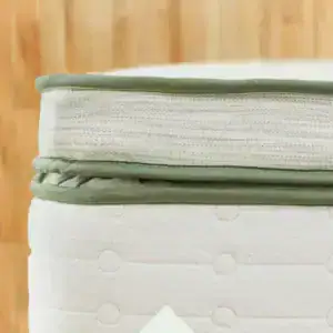 Green Box Top Content Image plush Green Box Top Content Image plush