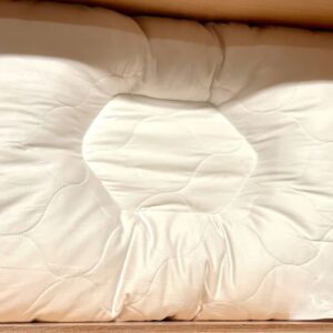 mytraining pillow 004 600x400 1