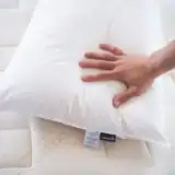 np bedding7984 fd 1000x1000