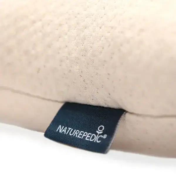 np toddlerpillow wb09 1000x1000