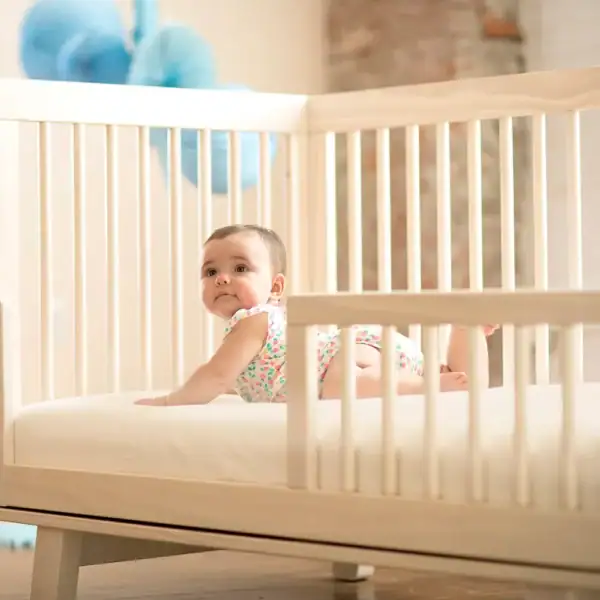 np website images baby sc501 sc50w 3 np website images baby sc501 sc50w 3
