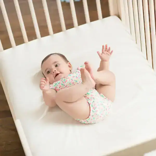 np website images baby sc501 sc50w 4 np website images baby sc501 sc50w 4