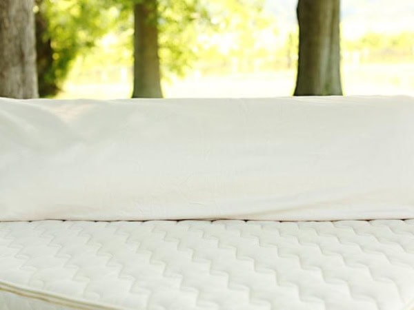 organic body pillow2 760x480