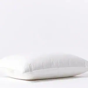 down pillow a fall21 0742 b0427b28 cf6e 4412 9259 bae78b55ee74
