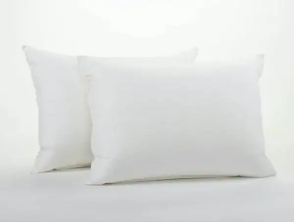 down pillow insert f6f22cd1 f95a 46e0 81a1 34012edd571f