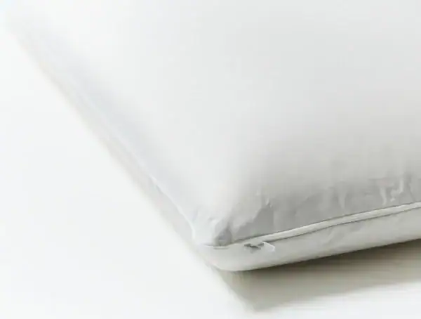 pdp moldedlatex detail white f19 e 2 2 840b504b eb59 408d b778 8dfdb98de9fa pdp moldedlatex detail white f19 e 2 2 840b504b eb59 408d b778 8dfdb98de9fa