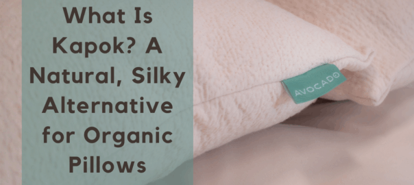 What Is Kapok A Natural Silky Alternative for Organic Pillows