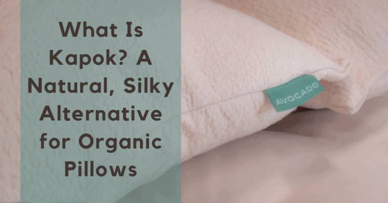 What Is Kapok A Natural Silky Alternative for Organic Pillows